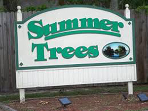 Summer Trees